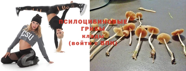 гашиш Белокуриха