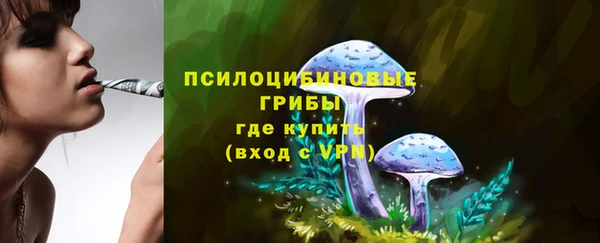 прущие грибы Богородск