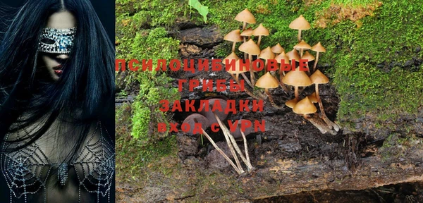 дмт Белоозёрский