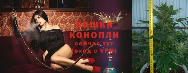 дурь Богородицк