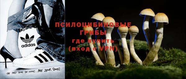 дурь Богородицк