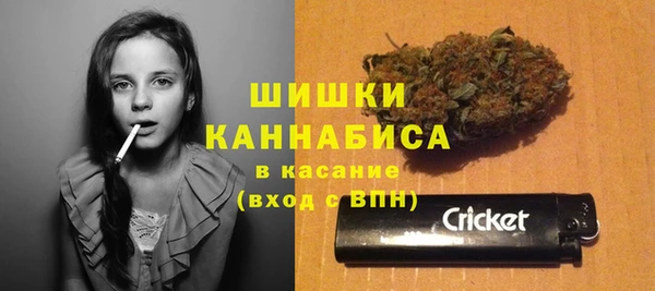 прущие грибы Богородск