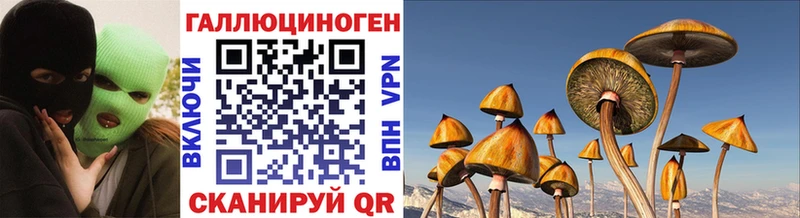Галлюциногенные грибы Magic Shrooms  Фёдоровский 